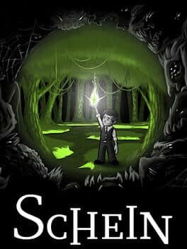Schein cover