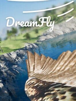 DreamFly cover
