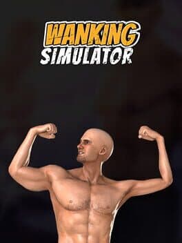 Wanking Simulator cover
