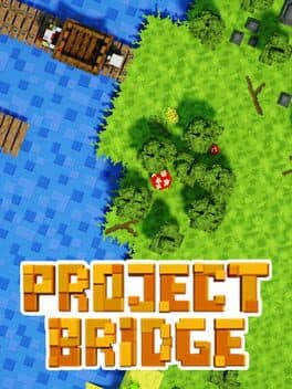 Project Bridge cover