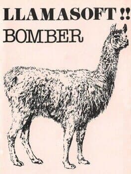 Bomber cover