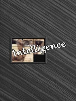 Intelligence cover