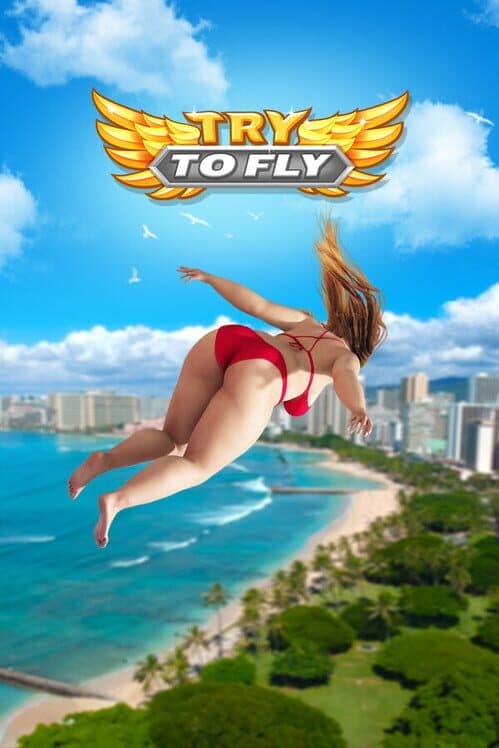 Try to Fly cover
